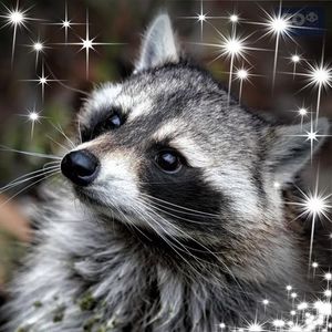 Meet your Posher, Miriam